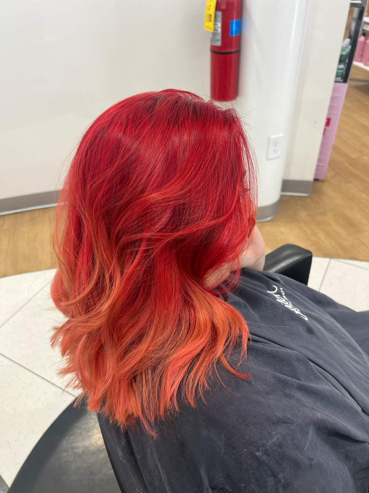 Highlights
