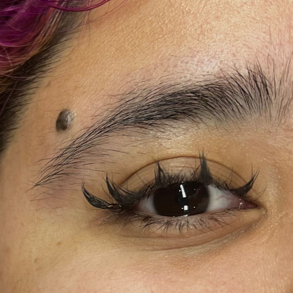 Anime Lashes at Lashesbysaletha in Ider, AL