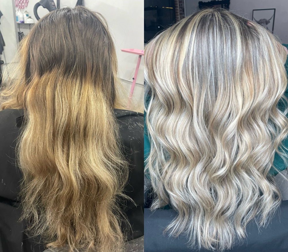 Full Highlight
