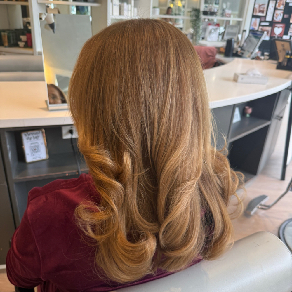 Luxury Round Brush Blowout at Shine Hair Studio in San Carlos, CA