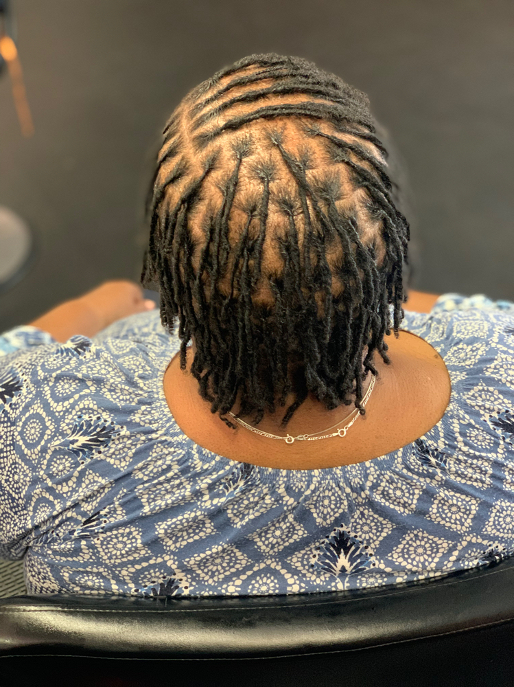 Starter Locs Medium/Large