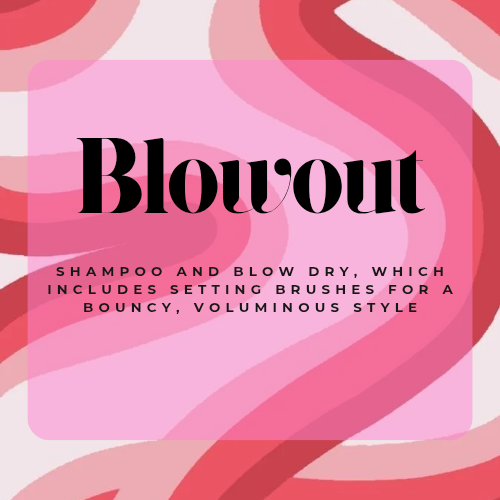 Blow Out at Eco Hair + Beauty in Chesterfield, MI