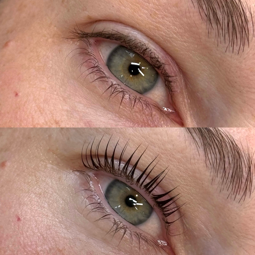 Lash Lift + Tint at Hard Feelings Brow Studio in Indianapolis, IN