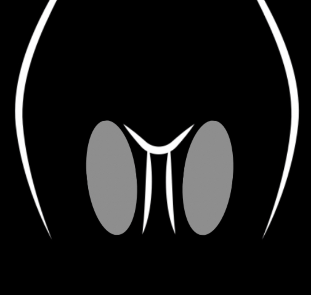 Inner Thigh