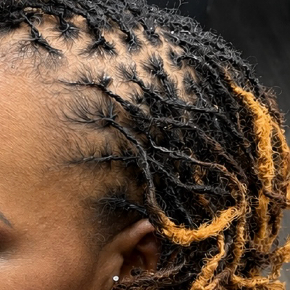 Microlocs Half Head Retie at DeLisha Doin’ Locs Well in Charlotte, NC