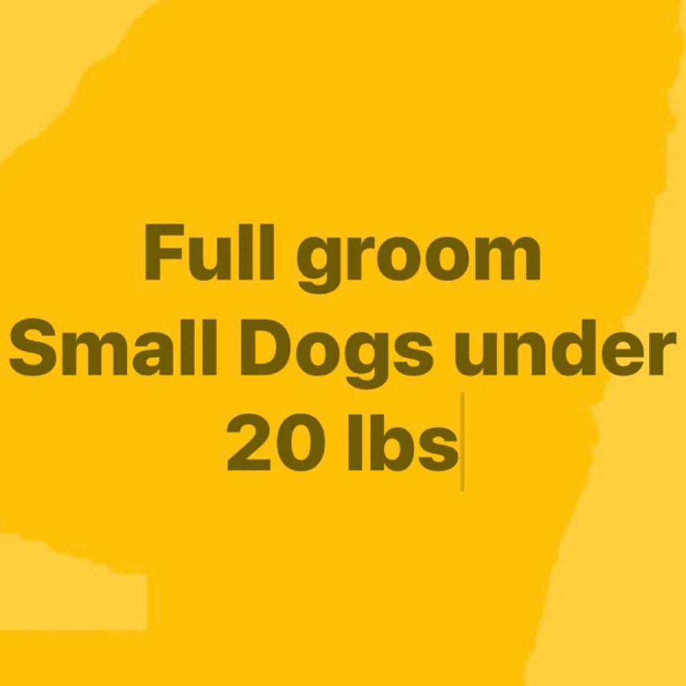 Full Groom-Small (Under 20 Ib) at Polished Pup in Larose, LA