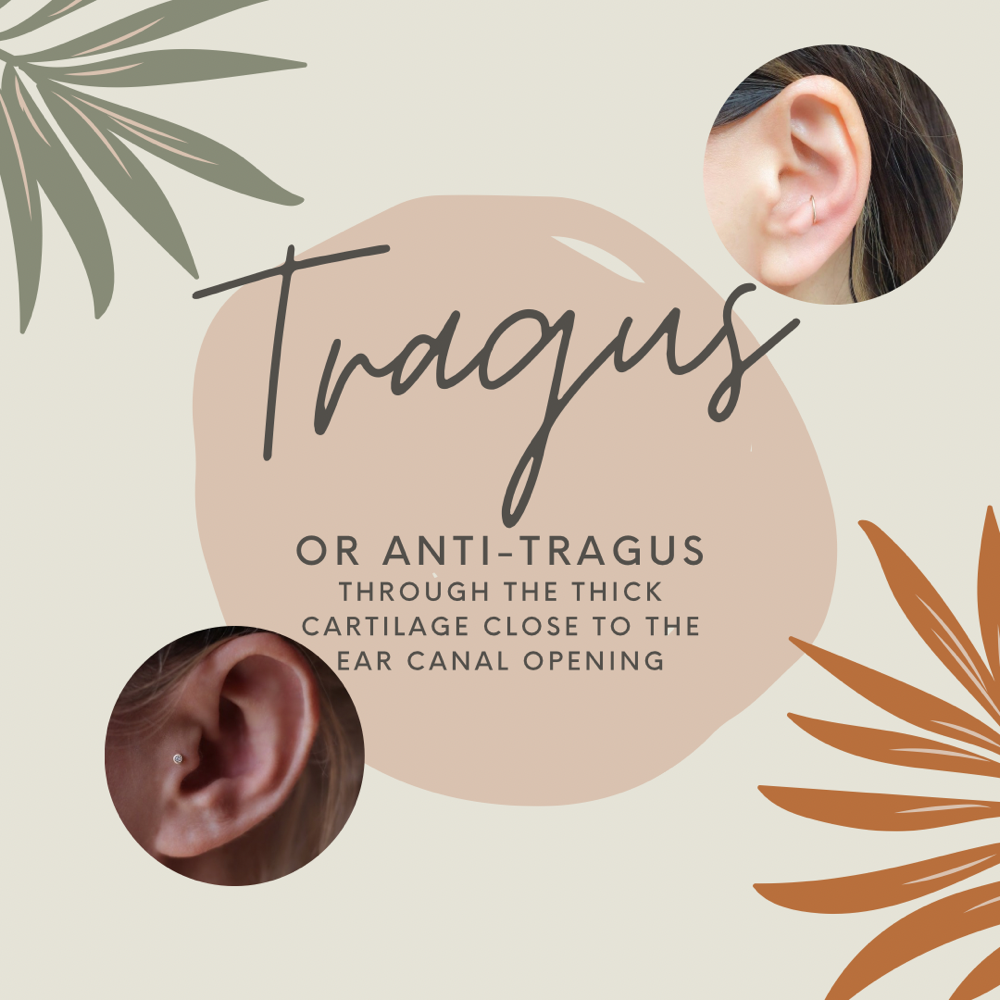 Tragus / Anti-Tragus