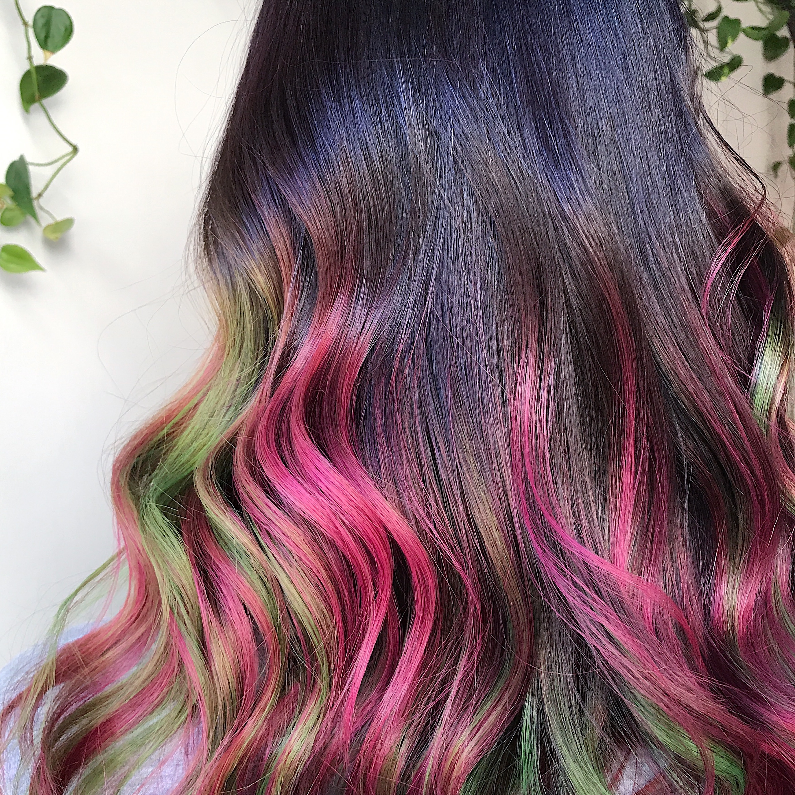 Vivid Maintenance at Drew Rose Hair in Tacoma, WA