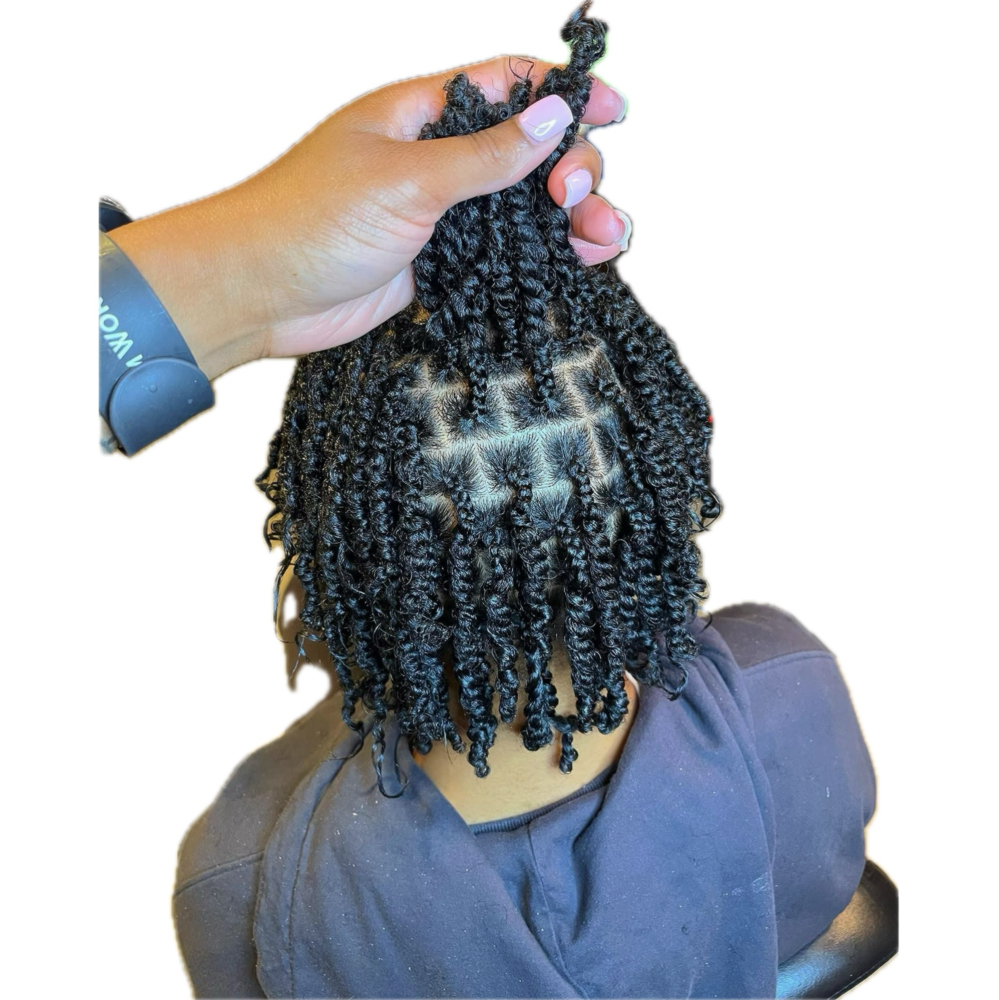Starter Locs
