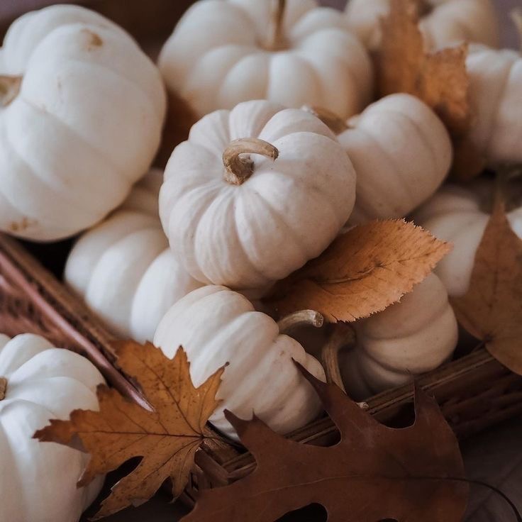 Pumpkin Spice Facial