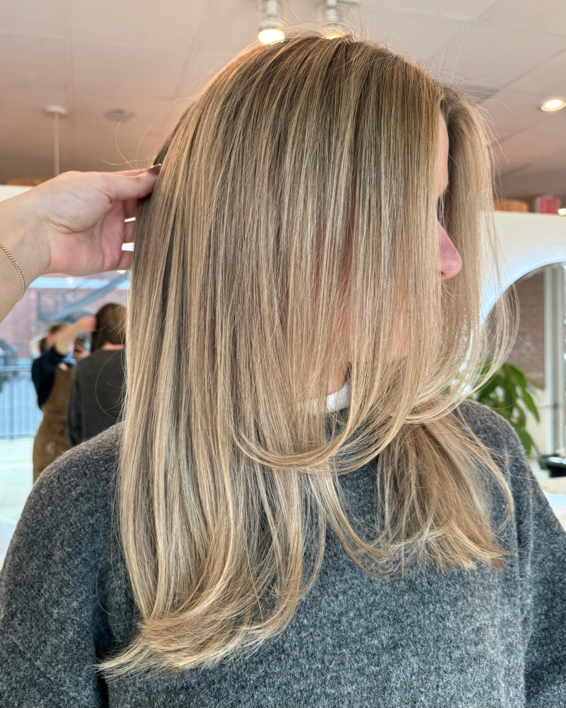 Basic Haircut