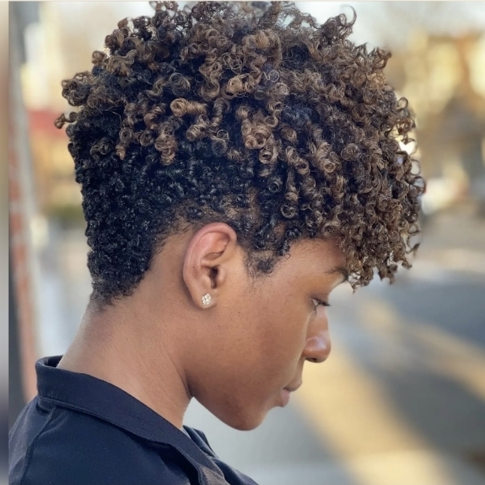 Hi-lites/frosted Tips 4 Loose Hair at Divine Design Studio in Stone Park, IL