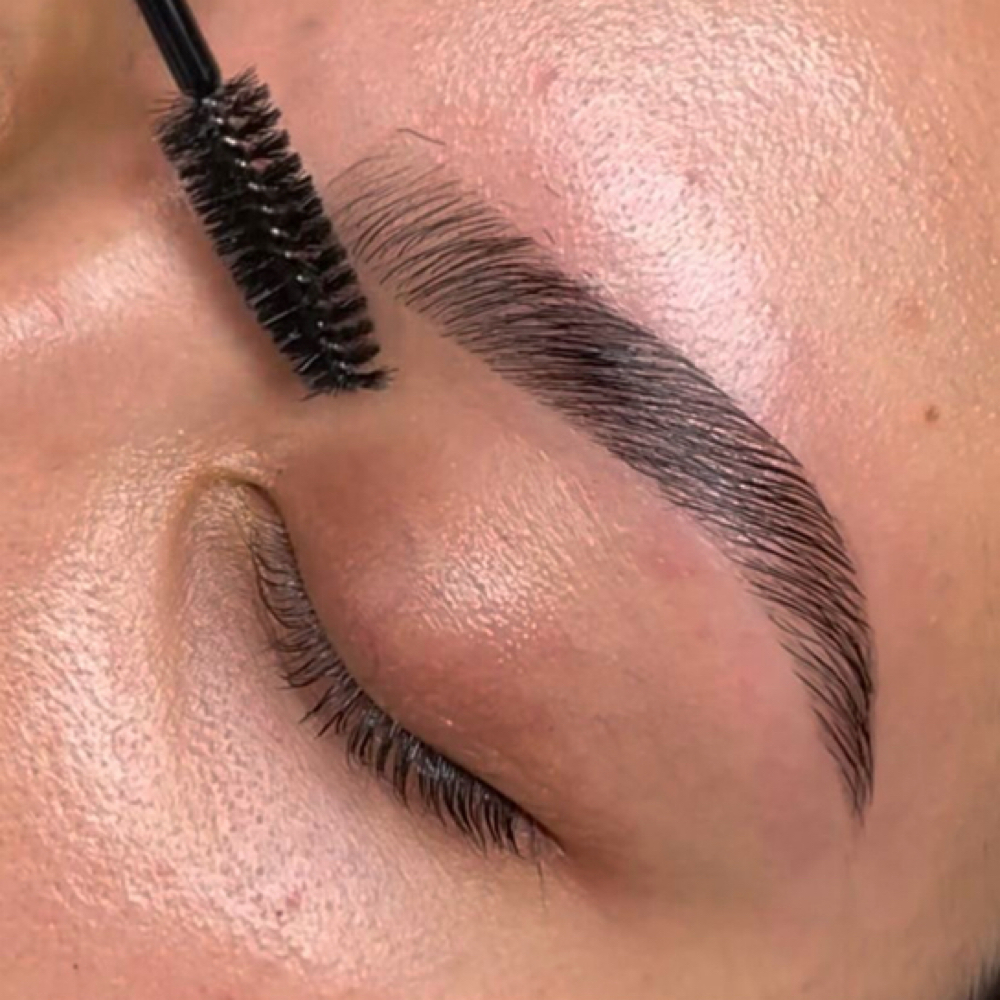 Brow Lamination & Tint at Le Esthetics in Houston, TX
