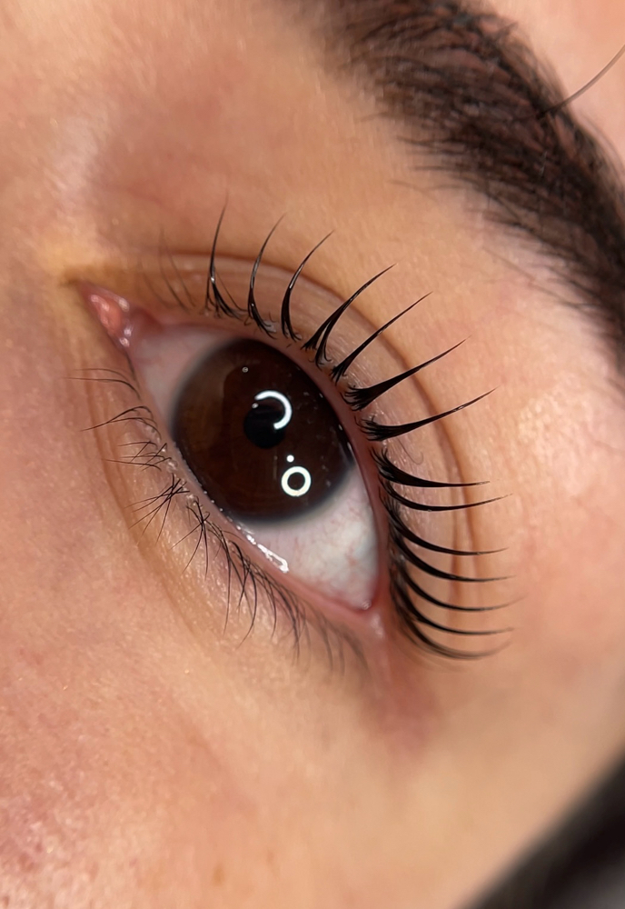 Korean Lash Lift Only