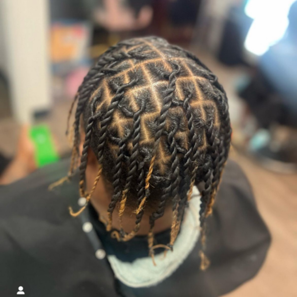 Starter Locs at BraidRulez in Durham, NC