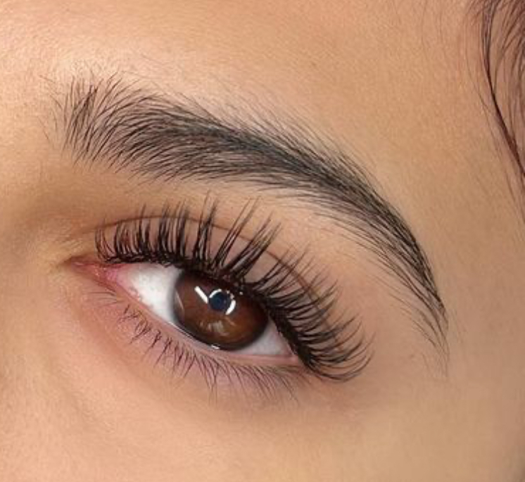 Light volume lashes & Classics