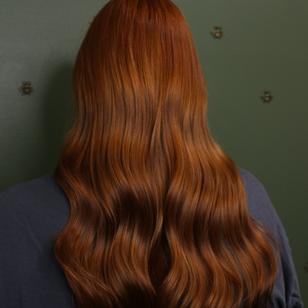 All Over Color (lighter) at honeybee hair in Los Angeles, CA