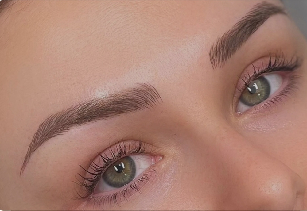 Pmu Touch Up Shading Brows -1 Year+