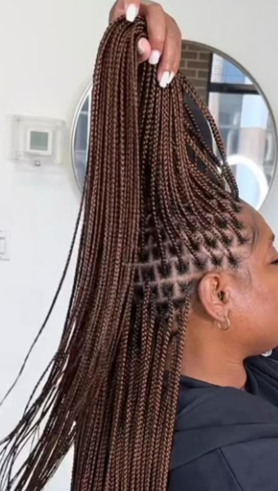 XS | Box Braids or Passion Twists at BOOKwSNOOK in Roanoke, VA