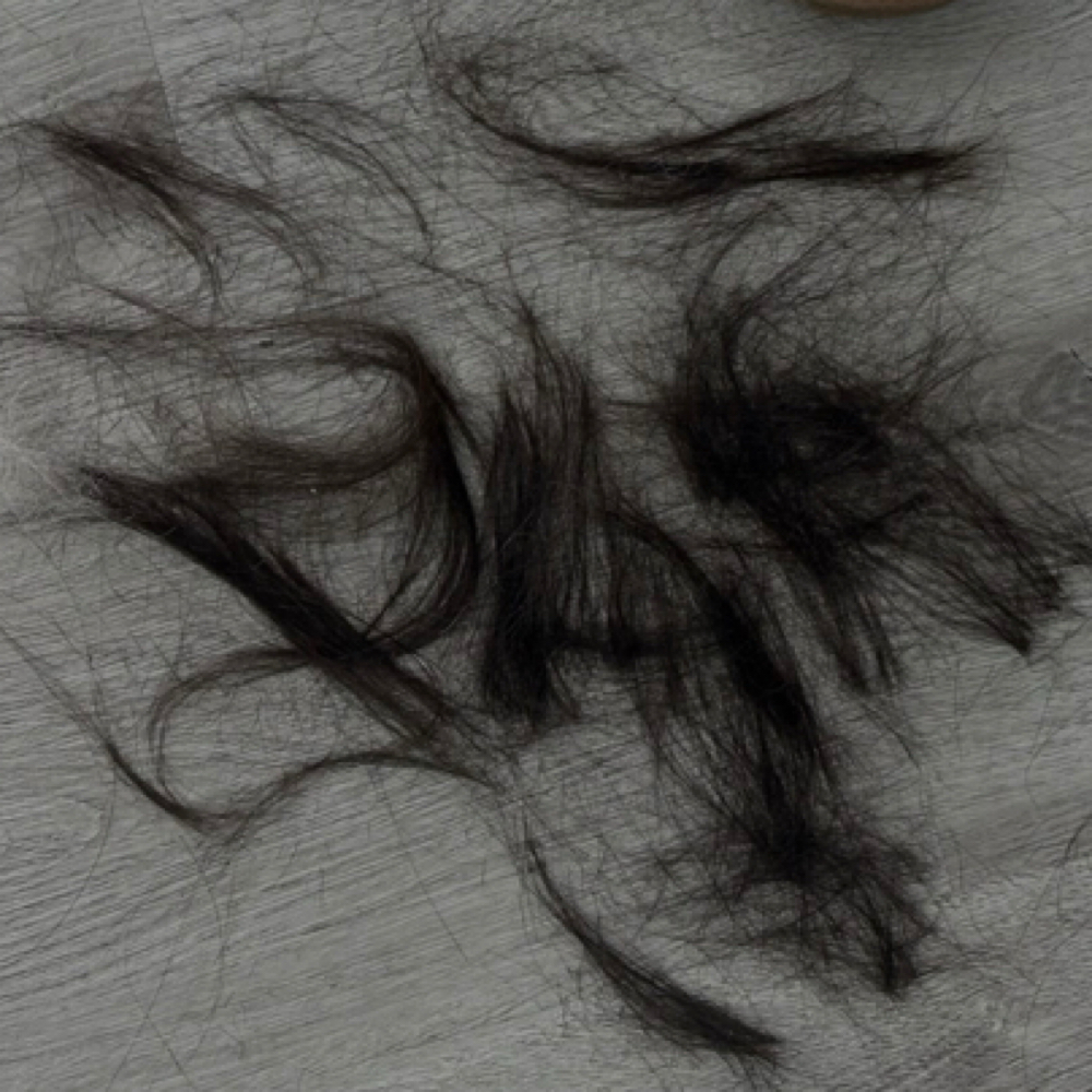 Haircut at By Jessi Larra in Tulsa, OK