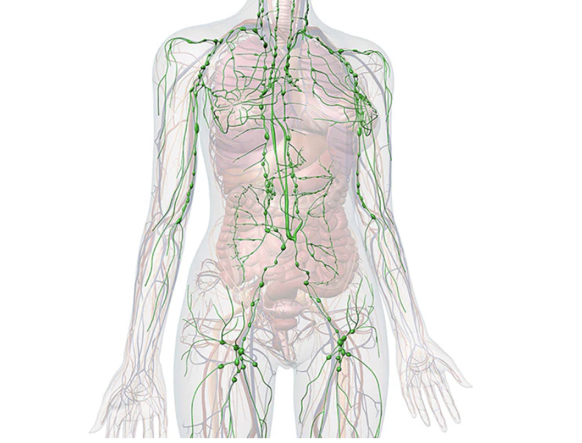 AIR Body Stlyer: Lymphatic Drainage