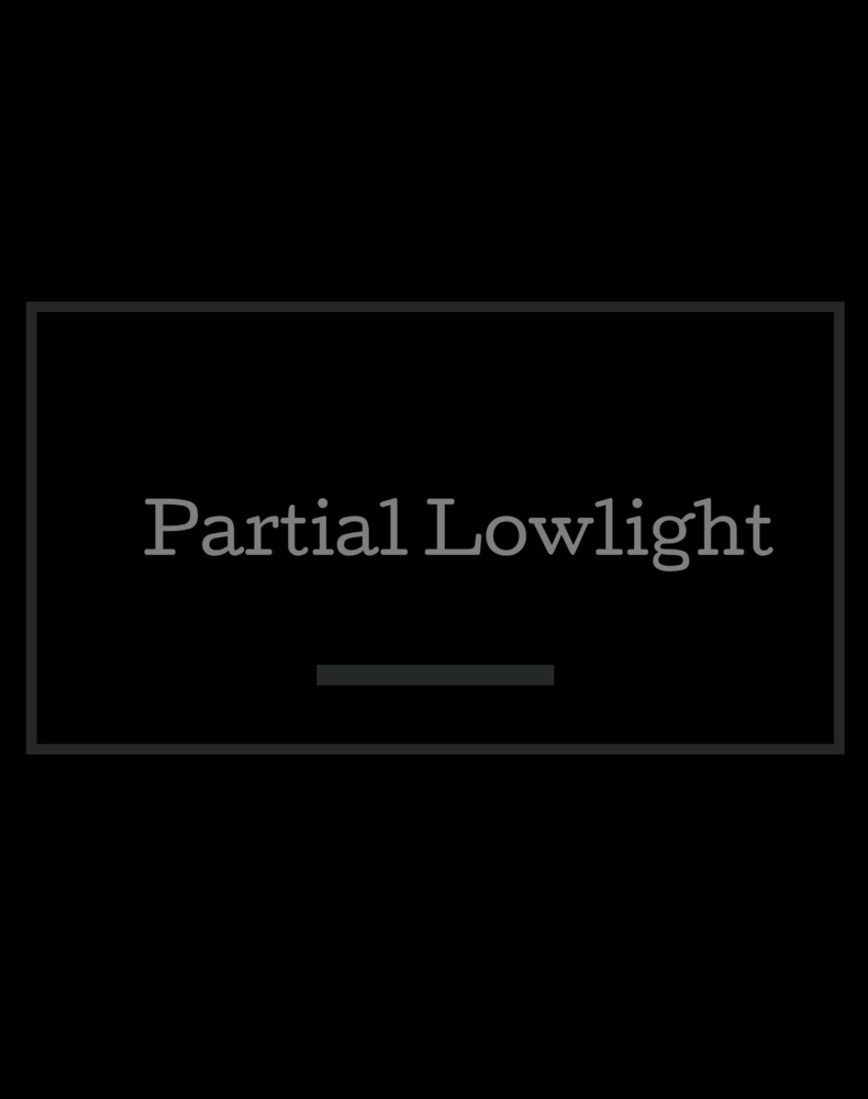 Partial Lowlight Only