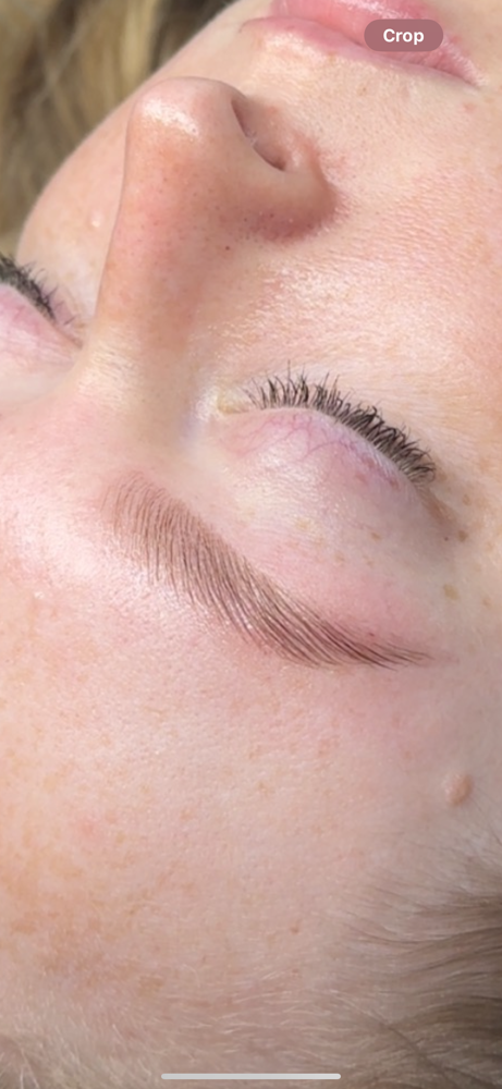 Brow Lamination and Tint