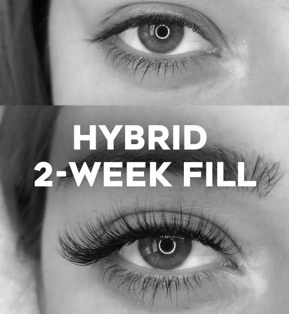 Hybrid Lash Fill