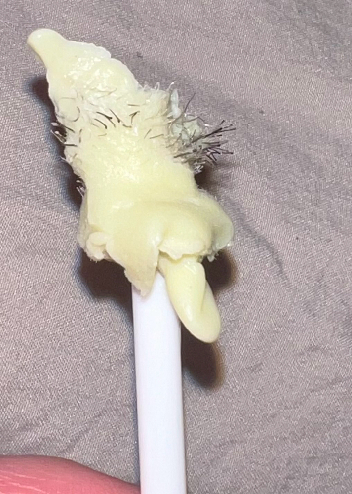Wax Nose