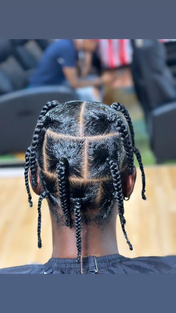 Jumbo/large 2strand Twist No Locs