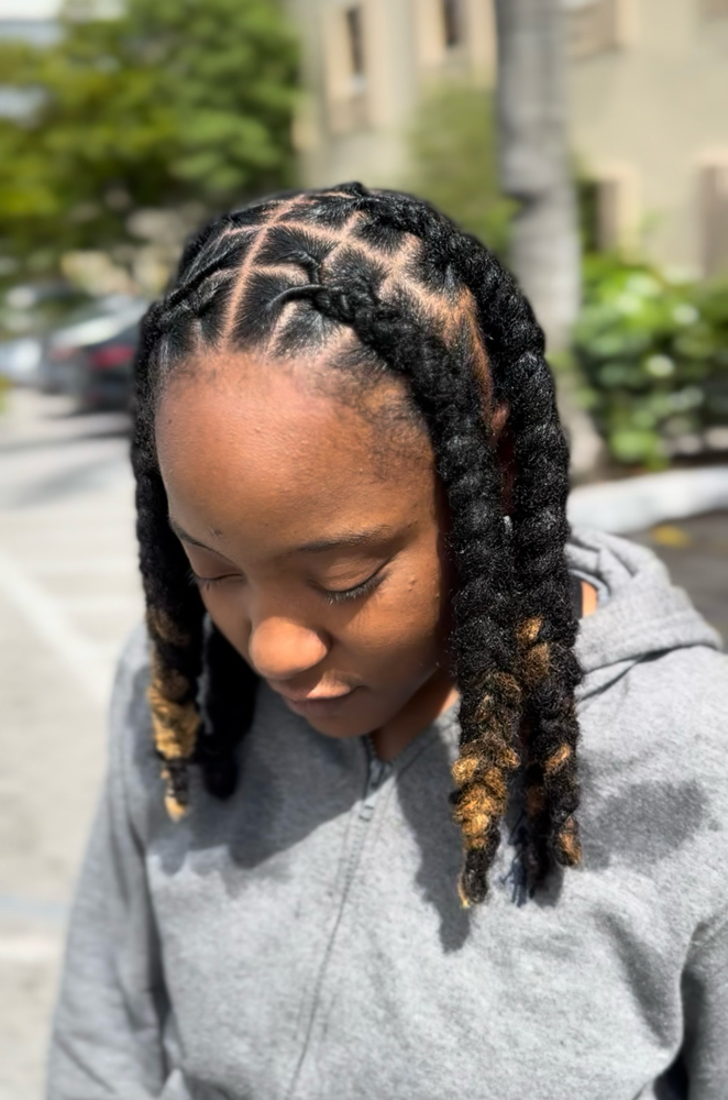 Retwist & Style (ANY Braided Style)