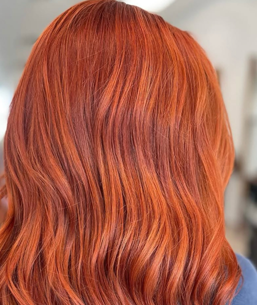 Vivid Color & Cut
