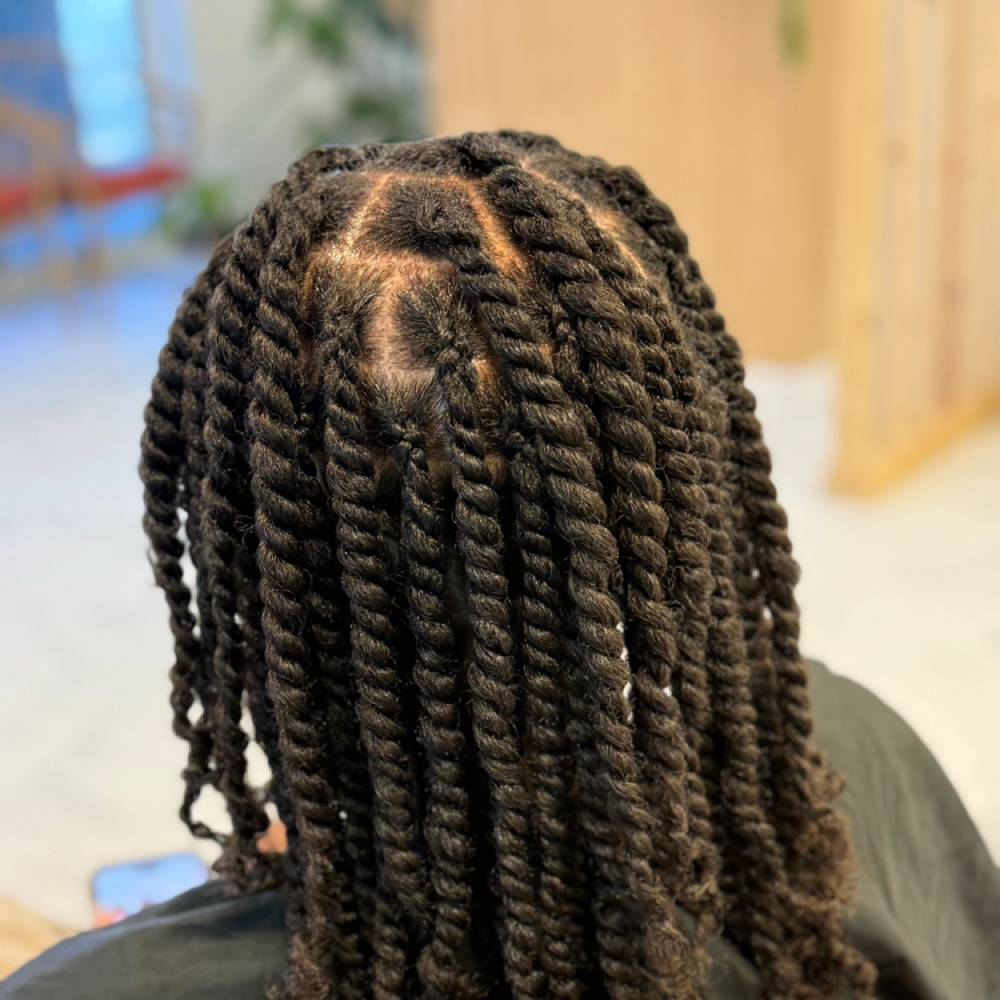 Two Strand Twist at Nw2d Fayetteville in Fayetteville, AR