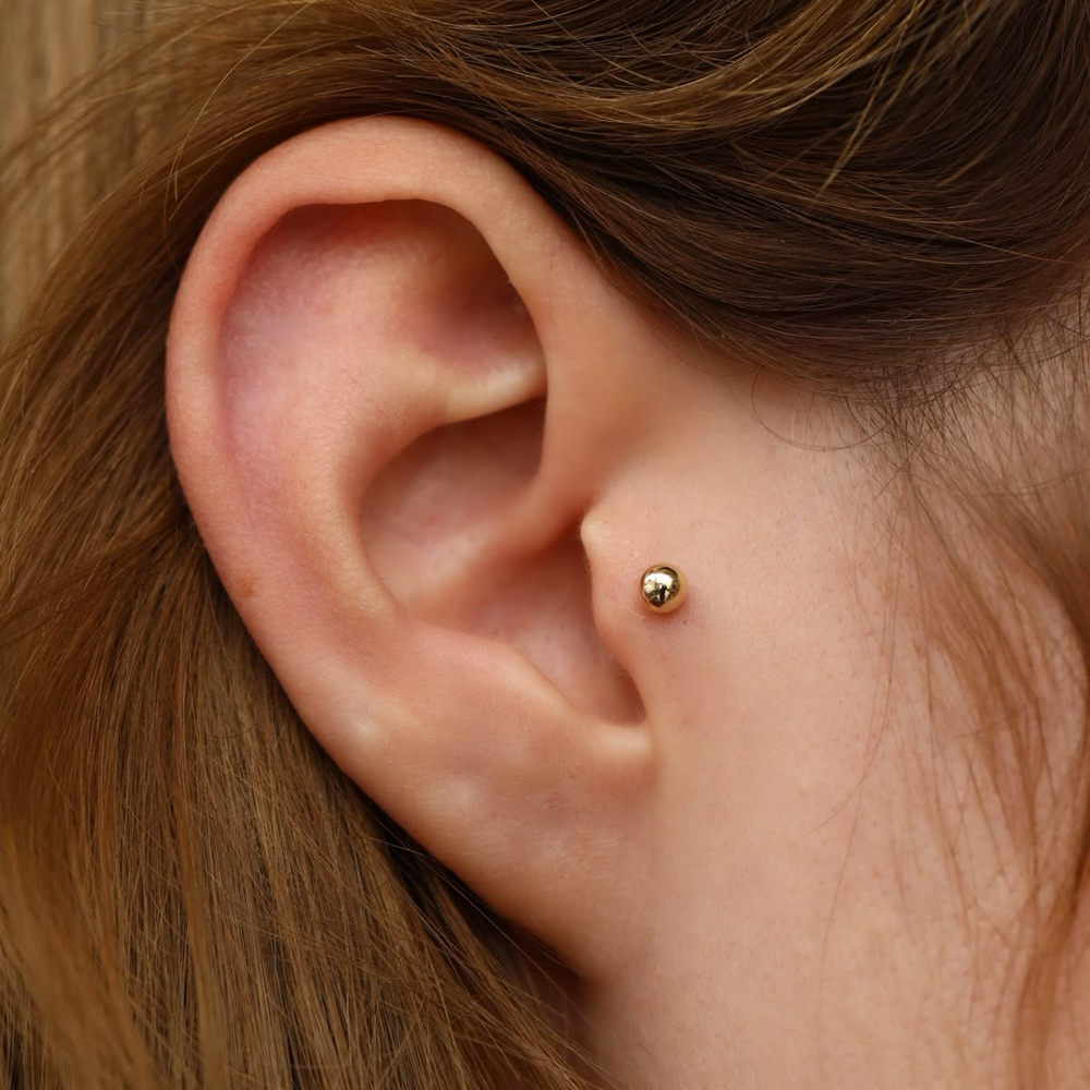 Tragus