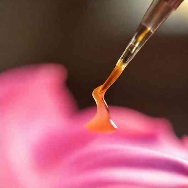 Upper Lip at waxed.by.abby in Middletown, OH