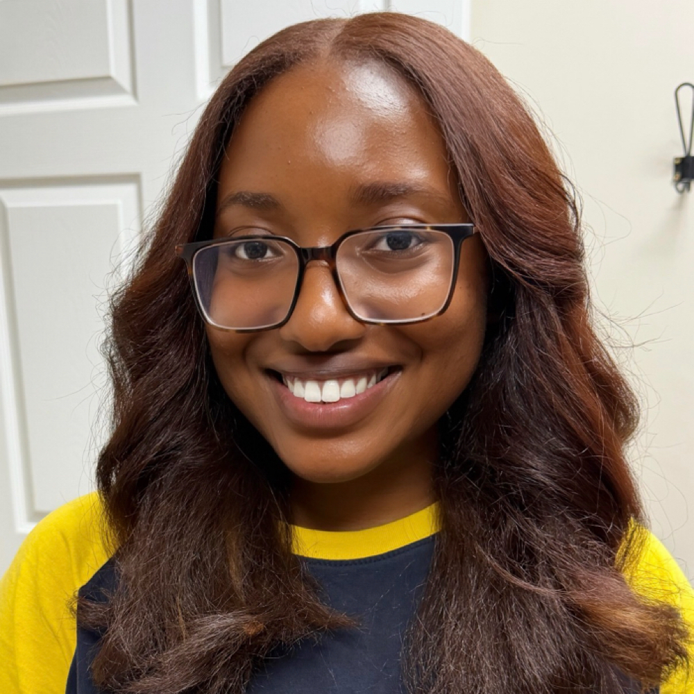 The WOW (Silk Press) Experience at Ashley Lynn Hair Care in Charlotte, NC