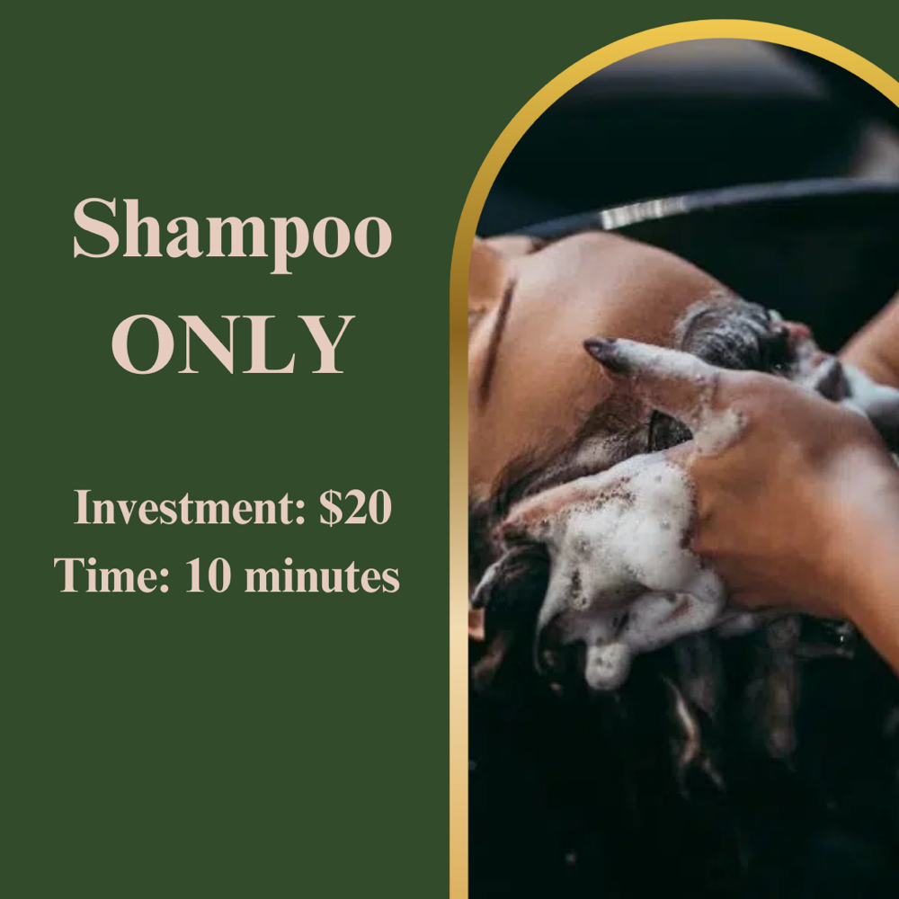 SHAMPOO ONLY