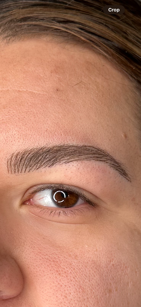 Nano Brow Touch Up at Inkedbyalayna in Goodyear, AZ
