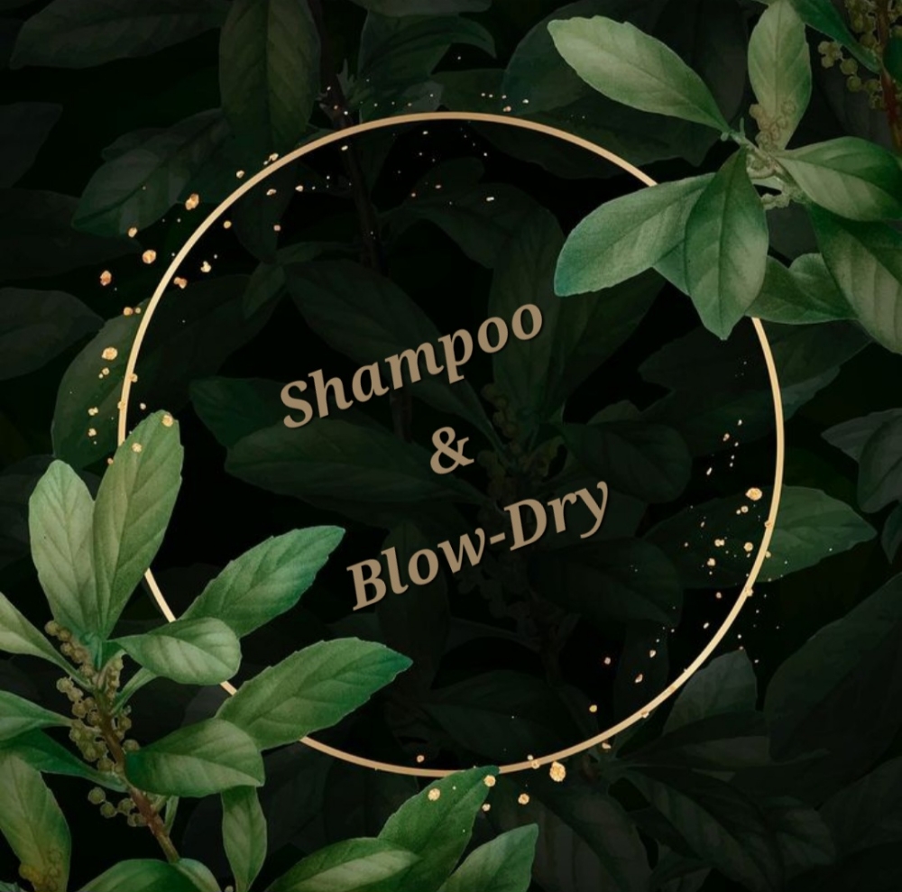 Shampoo + Blow-Dry at Aurora Signature Salon in Herndon, VA