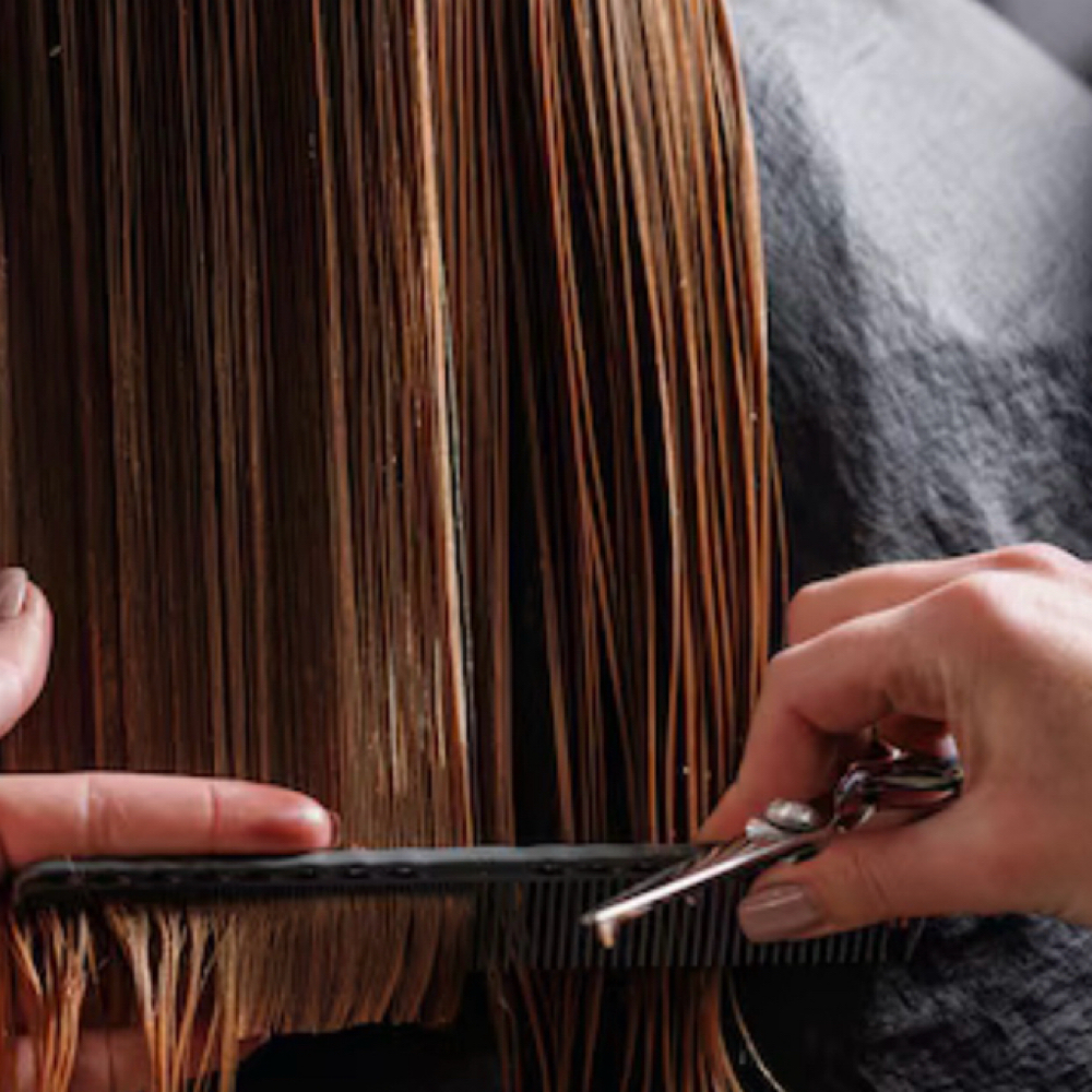 Wet Cut Only at Freeborn Hair Studio in Camden, DE