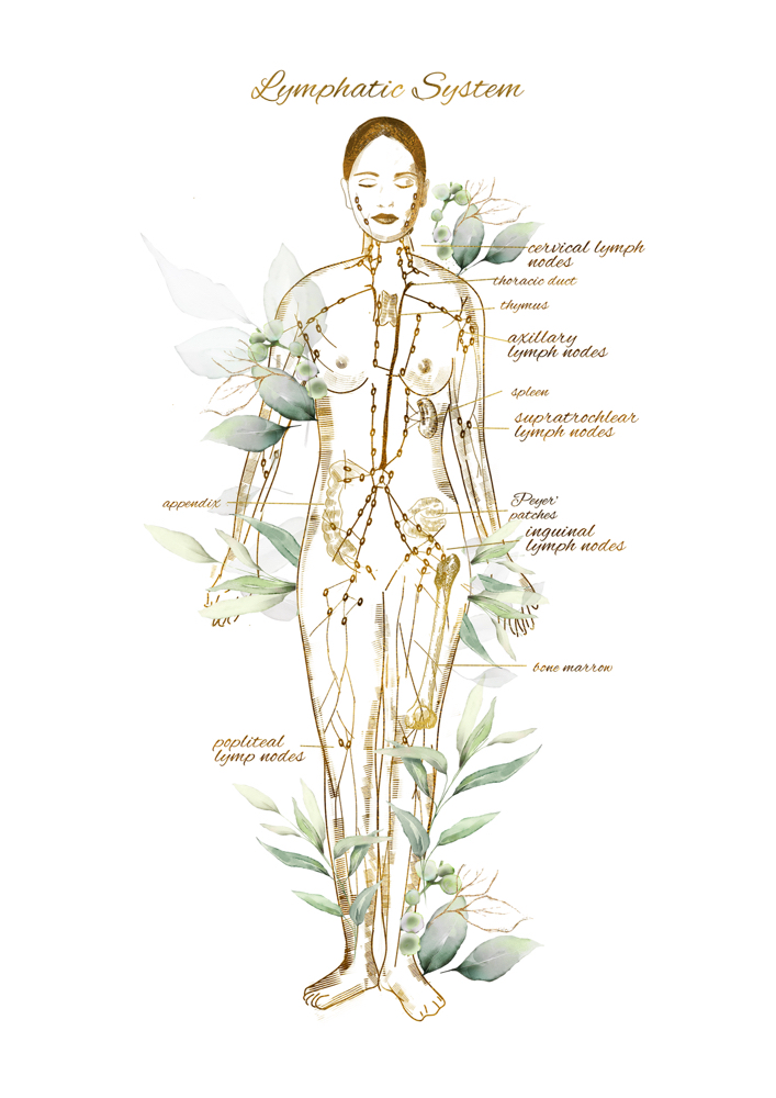 Body Lymphatic 10 Sessions