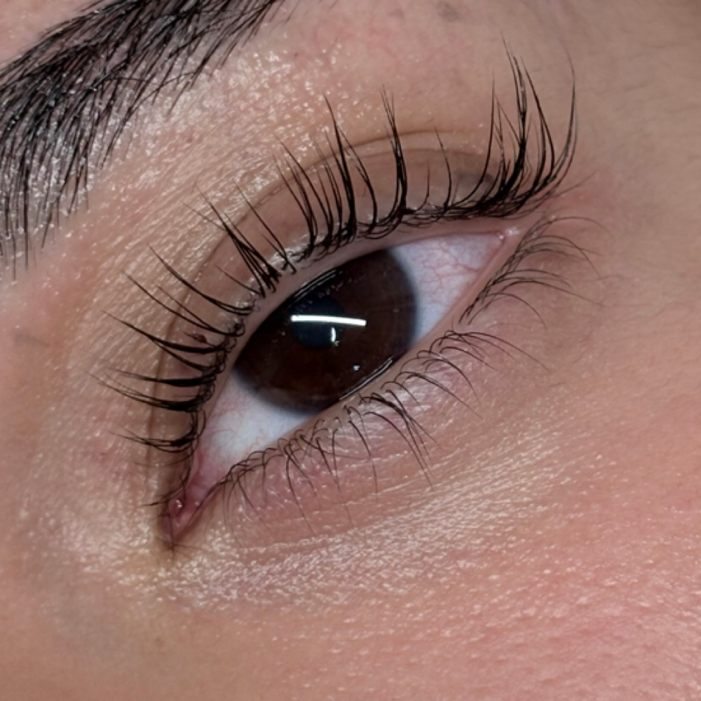 Korean Lash Lift at Fem Haus SATX in San Antonio, TX