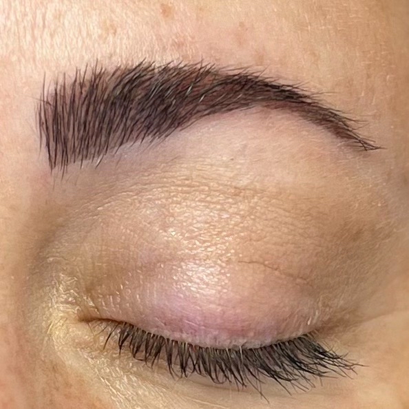 Lash or Brow Tint Only