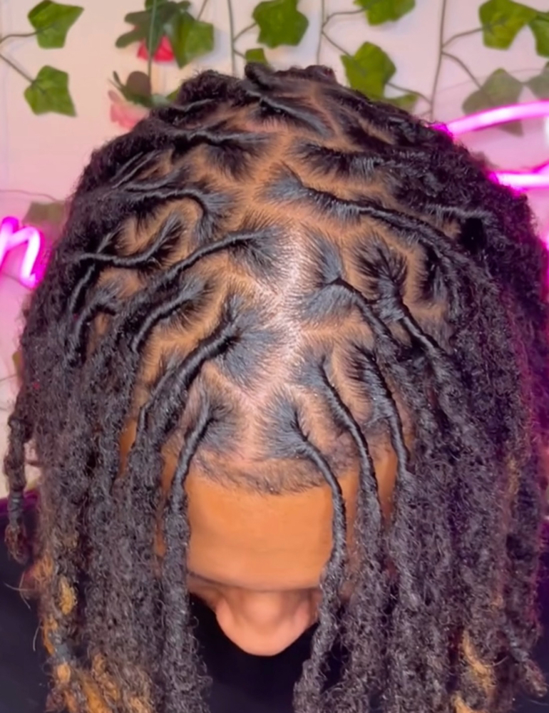 Loc Retwist