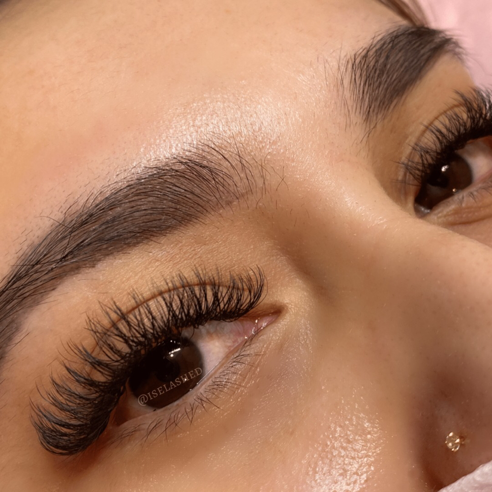 Doll Style Lashes (2D)