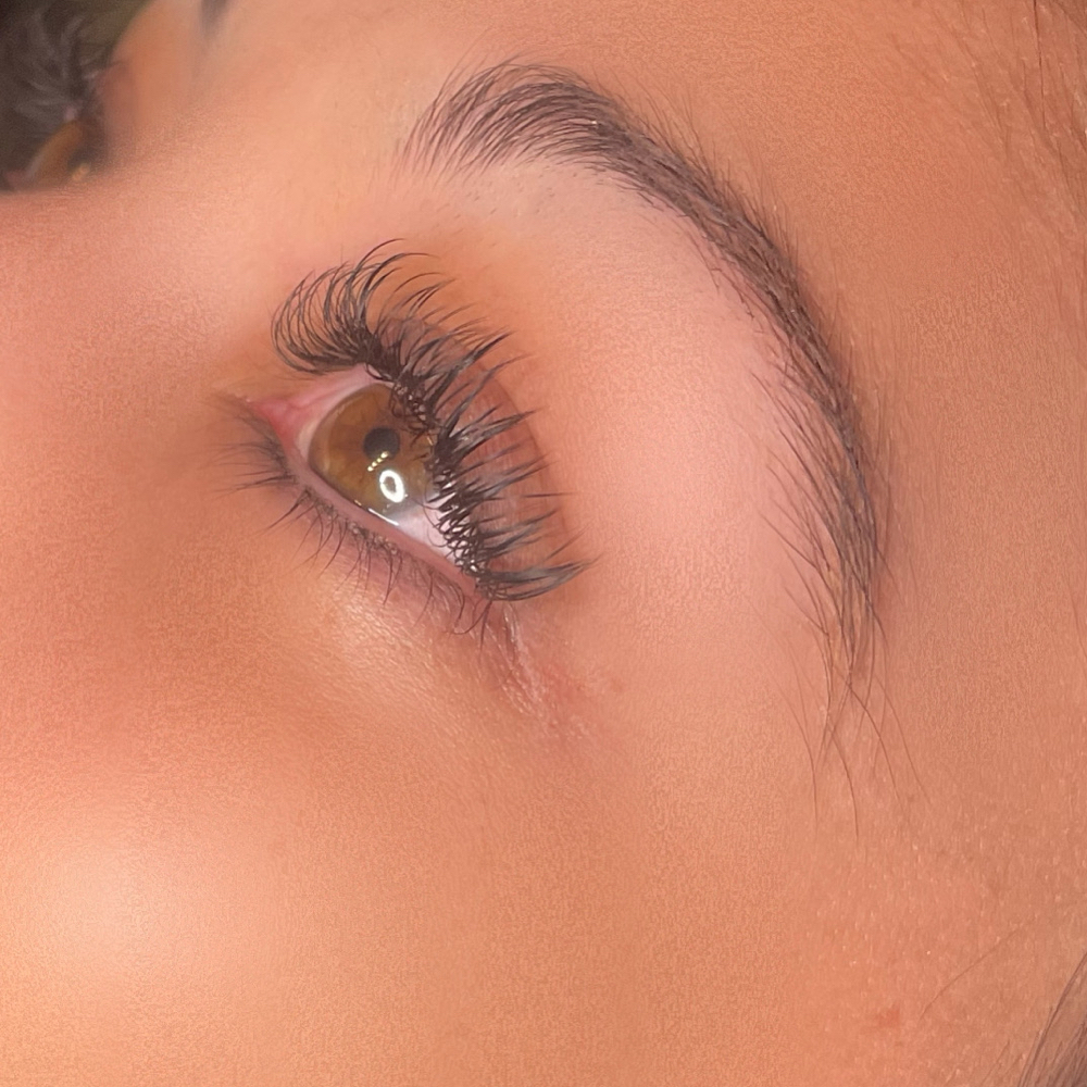 Classic Lashes