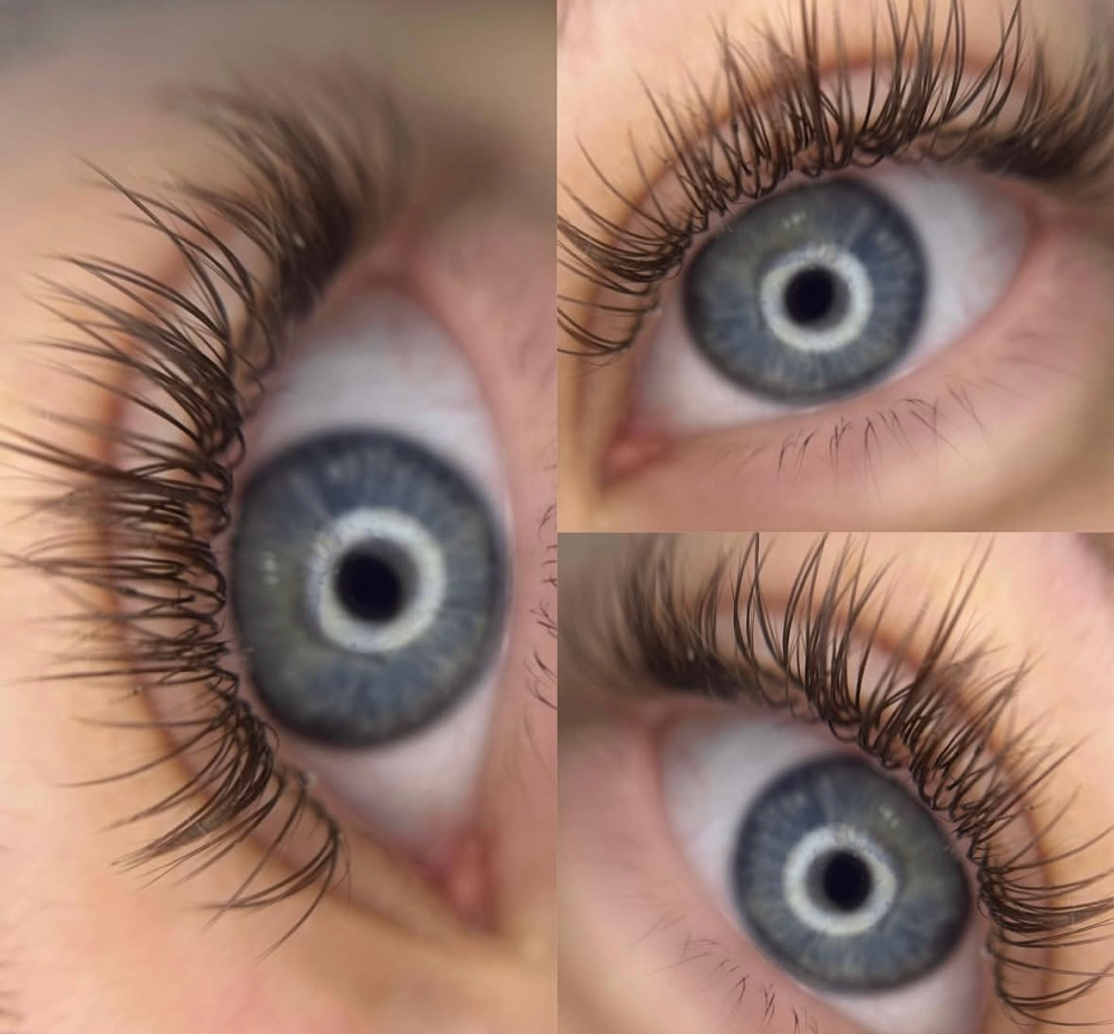 Classic Lashes