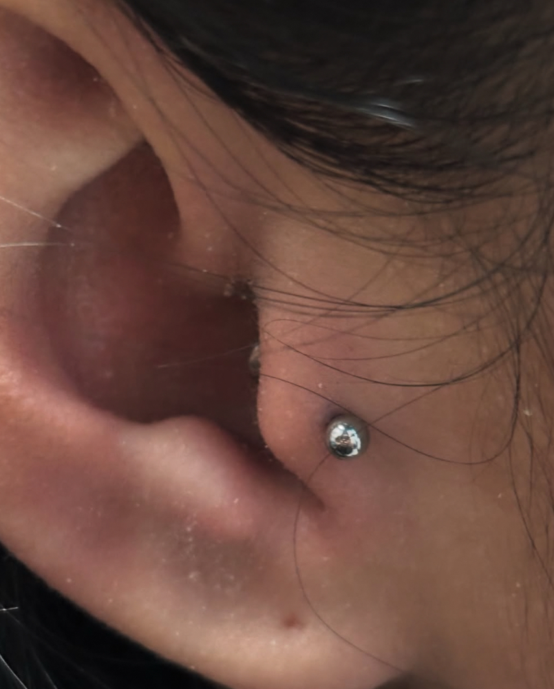 Tragus Piercing