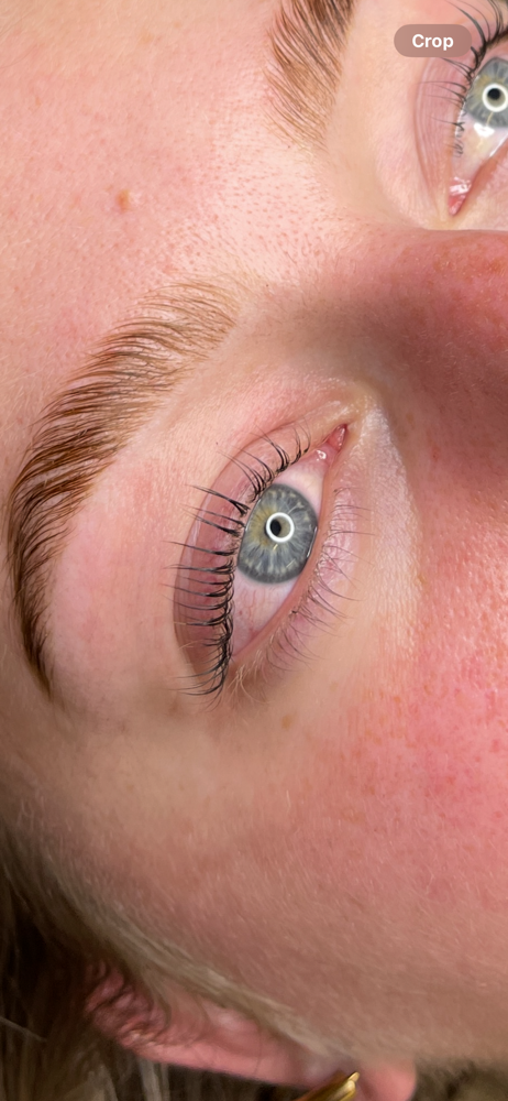 Lash Lift