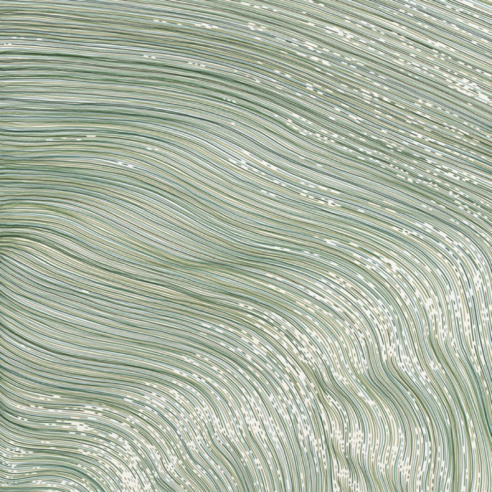 Tape-in Move Up at Salon Canvas & Social in South Pasadena, FL